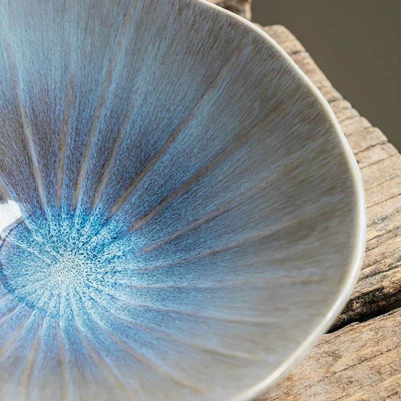 saladier degrade couleur bleu